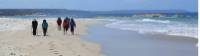 Stunning beach walk on the Bibbulmun Track Albany to Denmark section