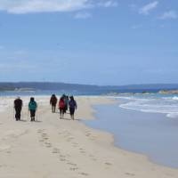 Stunning beach walk on the Bibbulmun Track Albany to Denmark section