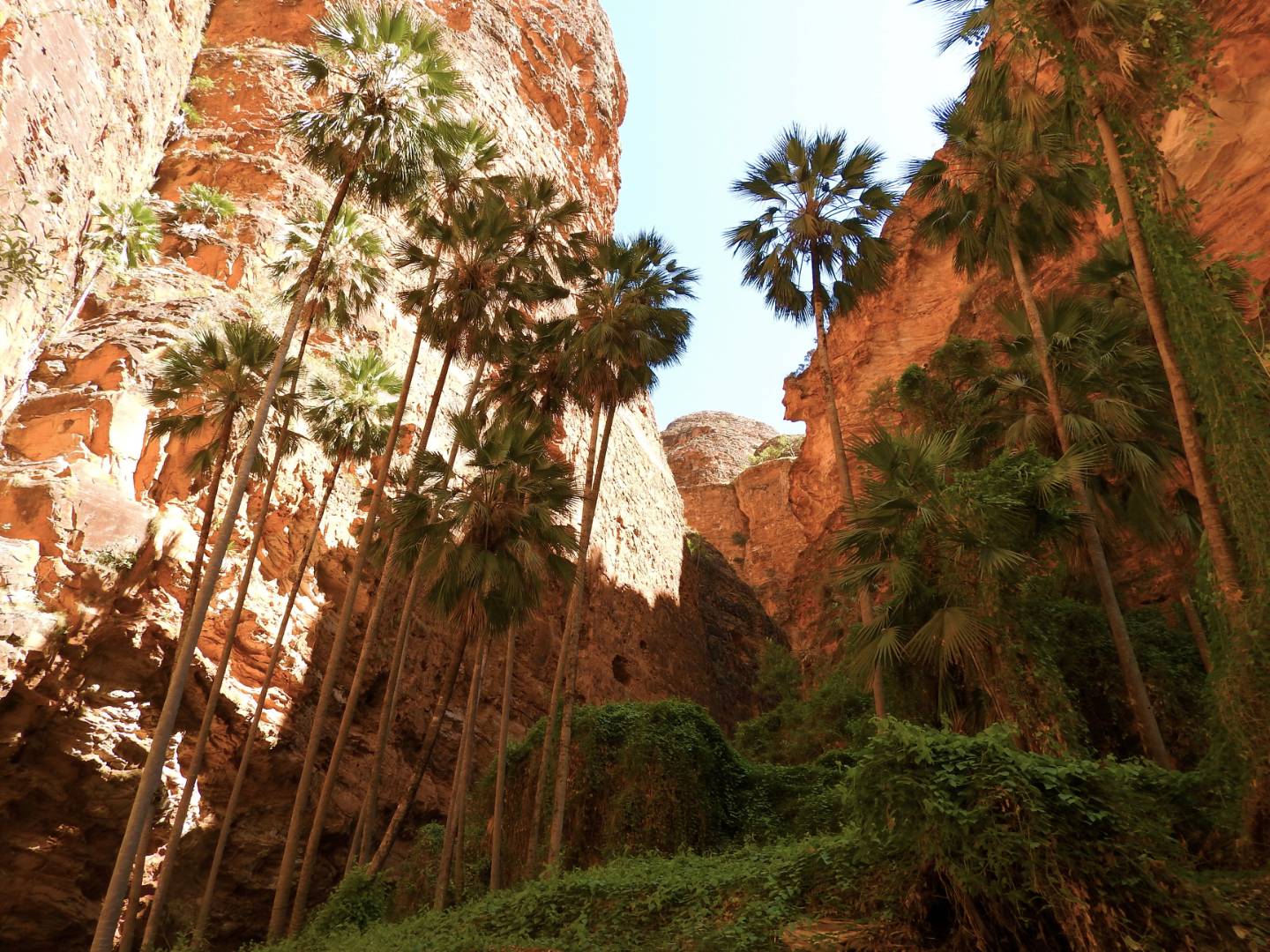 Exploring remote gorges of the Bungle Bungles |  <i>Holly Van De Beek</i>