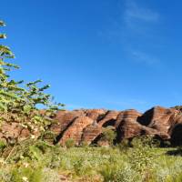 Explore the spectacular beehive domes of the Bungle Bungles | Holly Van De Beek