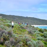 Walking along the Cape to Cape Track, Western Australia