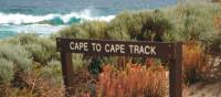The rugged coastal landscape on our Cape to Cape Trek | Paula Wade