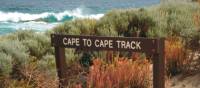 The rugged coastal landscape on our Cape to Cape Trek | Paula Wade