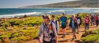 Cape to Cape Track walkers cross coastal heath above the Southern Ocean, Western Australia. | Tourism Western Australia