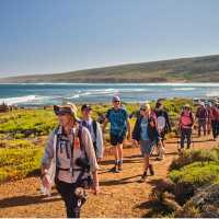 Cape to Cape Track walkers cross coastal heath above the Southern Ocean, Western Australia. | Tourism Western Australia