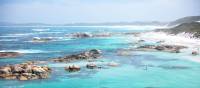 Enjoy a drip in the crystal clear waters of Greens Pool in William Bay National Park | Tourism Western Australia