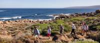 Group hike on Cape to Cape track