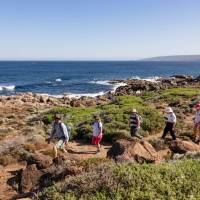 Group hike on Cape to Cape track