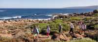 Group hike on Cape to Cape track