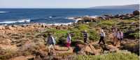 Group hike on Cape to Cape track