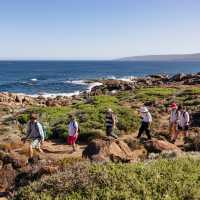 Group hike on Cape to Cape track