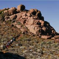 Guided hike on the Cape to Cape track