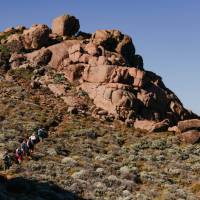 Guided hike on the Cape to Cape track