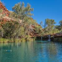 Jubura (Fern Pool), Karijini National Park
 | Greg Snell | Tourism Western Australia