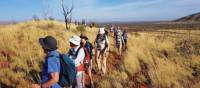 Endless walking opportunities await in Karijini National Park