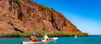 Lots to see on our Dampier Archipelago kayaking tours