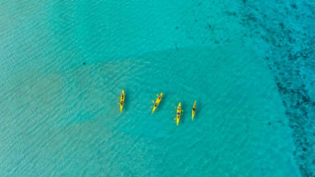 Enjoy the crystal clear waters of Ningaloo Reef from your kayak