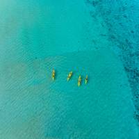 Enjoy the crystal clear waters of Ningaloo Reef from your kayak