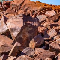 Macropod Petroglyph