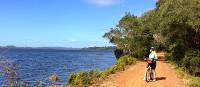 Cycling along the Munda Biddi Trail from Albany to Walpole