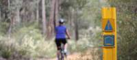 Cycling along the Munda Biddi Trail from Albany to Walpole