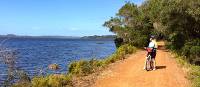 Cycling along the Munda Biddi Trail from Albany to Walpole