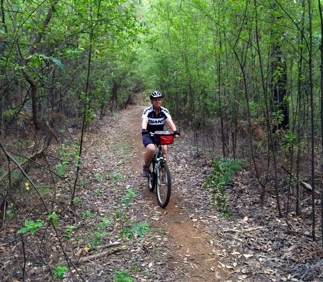 Cycling along the Munda Biddi Trail from Albany to Walpole