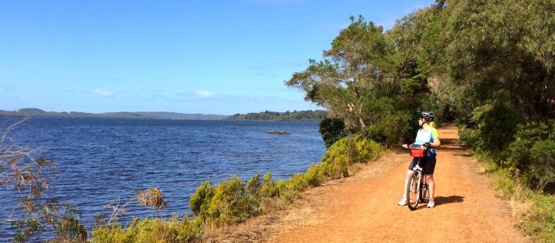 Cycling along the Munda Biddi Trail from Albany to Walpole