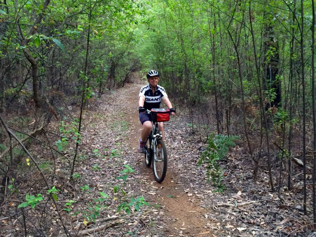 Cycling along the Munda Biddi Trail from Albany to Walpole