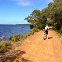 Cycling along the Munda Biddi Trail from Albany to Walpole