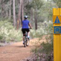 Cycling along the Munda Biddi Trail from Albany to Walpole