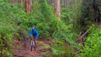 Munda Biddi Trail,Andrew Bain Munda Biddi Trail