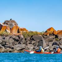 Observing an Osprey nest from kayaks