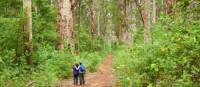 Enjoy hikes through the heart of karri tree country | Frances Andrijich | Tourism Western Australia