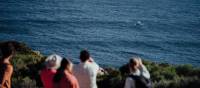 Watching a whale breach from the track | Tourism Western Australia