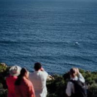 Watching a whale breach from the track | Tourism Western Australia