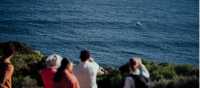 Watching a whale breach from the track | Tourism Western Australia