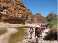 The Wild Women on Top group trekking in to the Bungles |  <i>Di Westaway</i>