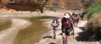 The Wild Women on Top group trekking in to the Bungles | Di Westaway