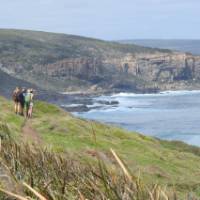 Wilyabrup view on Cape to Cape tour