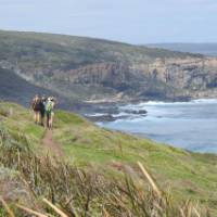 Wilyabrup view on Cape to Cape tour