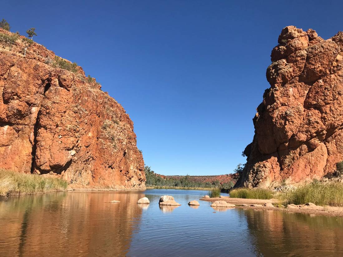 Swimming at Finke River, Glen Helen Resort |  <i>Lexi Connors</i>