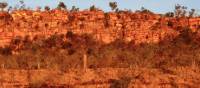 Rich colours of the Kimberley | Richard I'Anson