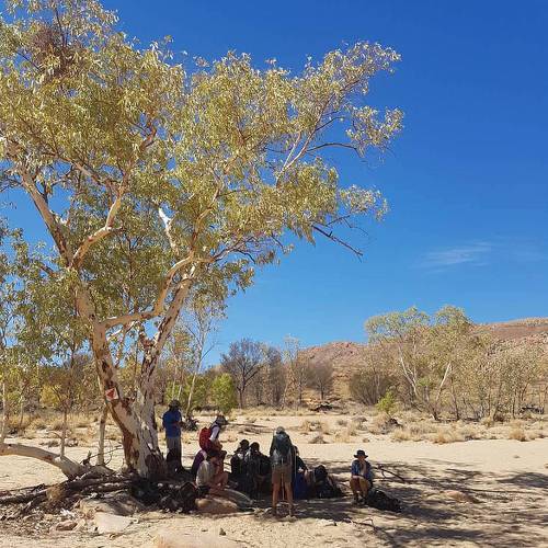 Taking a break on the Larapinta Trail |  <i>Alice Homan</i>