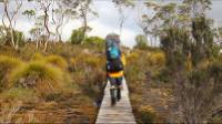 'It was the best choice I could have made',  'an amazing holiday we will never forget...'  'If this is something you are considering, just do it, you won't regret it!' This is just some of the feedback we have had from our clients on their Overland Track experience. Find out why this is one of the most popular Tasmanian walks... and why you should experience it!  The Overland Track is Tasmania's most renowned walk. On this 6 day trek, experience the breathtaking views, from the stunning crags of Cradle Mountain to the rainforest-clad shores of Lake St. Claire, with many exciting side trips along the way.  Highlights include: - Walk Australia's internationally famous Overland Track - Explore deep forests, sub-alpine plateaus and spectacular highland landscapes - End each day at scenic campsites in the remote wilderness - Summit iconic Cradle Mountain and Tasmania's highest peak, Mt Ossa - Enjoy close encounters with the wildlife and amazing endemic wildflowers - Travel with the most experienced operator on Tasmania's iconic trail - Enjoy delicious 3 course meals prepared by your guides in the evenings   ------------------------------ Like this? Visit our websites: Trekking and guided tour information http://www.australianwalkingholidays.com.au/ http://www.LarapintaTrailWalks.com.au Find us on Facebook http://www.facebook.com/australianwalkingholidays Find us on Twitter http://twitter.com/auswalking Instagram: https://www.facebook.com/AustralianWalkingHolidays Google Plus: https://plus.google.com/u/4/+AustralianWalkingHolidaysSydney