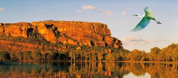 A bird flies over still water in the afternoon sun | Peter Walton