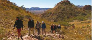 The terrain on the Larapinta Trail | Peter Walton