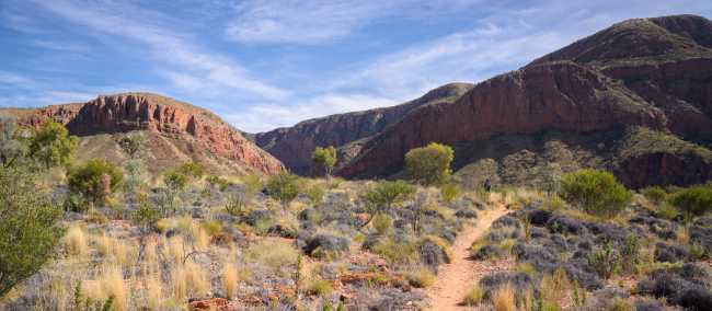 Trail in Ormiston Pound | Luke Tscharke