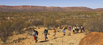 Well defined section of the Larapinta tRail | Peter Walton