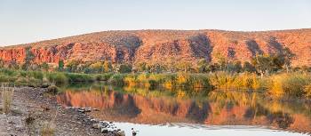 Enjoy swimming in the waterholes along the Larapinta Trail | Gavin Yeates